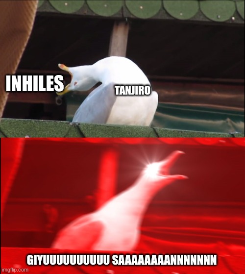 GIYUUUU SANNNNNNN | INHILES; TANJIRO; GIYUUUUUUUUUU SAAAAAAAANNNNNNN | image tagged in deep breath seagull,demon slayer | made w/ Imgflip meme maker
