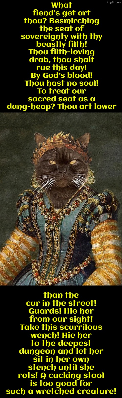 Sit In Her Own Stench Until She Rots | What fiend’s get art thou? Besmirching the seat of sovereignty with thy beastly filth! Thou filth-loving drab, thou shalt rue this day! By God’s blood! Thou hast no soul! To treat our sacred seat as a dung-heap? Thou art lower; than the cur in the street! Guards! Hie her from our sight! Take this scurrilous wench! Hie her to the deepest dungeon and let her sit in her own stench until she rots! A cucking stool is too good for such a wretched creature! | image tagged in cats,medieval memes,poop,the queen,superior royalty,funny cats | made w/ Imgflip meme maker