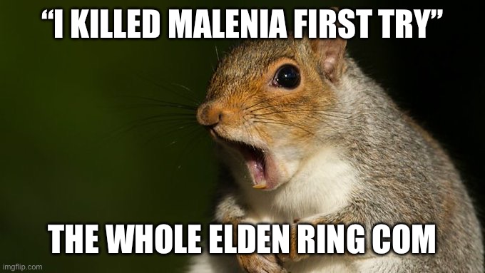 Shocked Squirrel | “I KILLED MALENIA FIRST TRY”; THE WHOLE ELDEN RING COMMUNITY | image tagged in shocked squirrel | made w/ Imgflip meme maker
