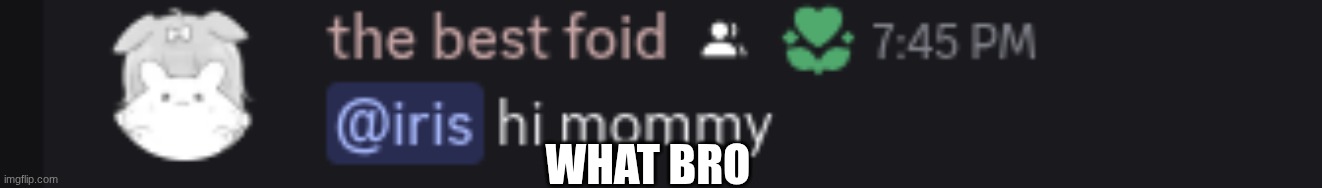 Bro this is crazy | WHAT BRO | image tagged in the most interesting man in the world | made w/ Imgflip meme maker