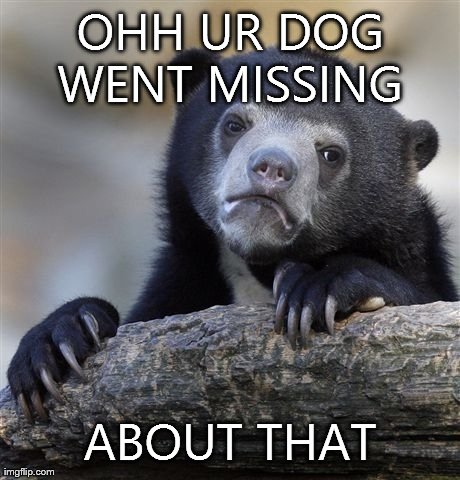 Confession Bear Meme | OHH UR DOG WENT MISSING  ABOUT THAT | image tagged in memes,confession bear | made w/ Imgflip meme maker