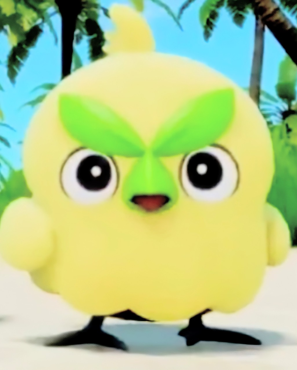 Pokemon: Angry Bird Blank Meme Template