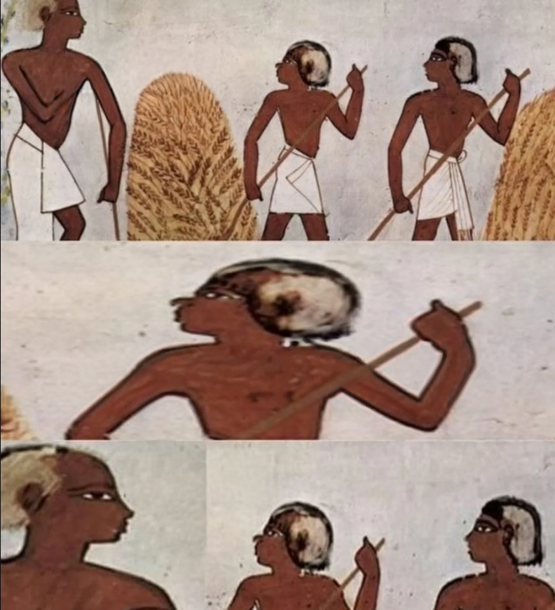 cleitin Blank Meme Template