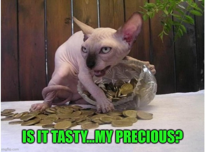 Hairless cat hoarding precious coins | IS IT TASTY...MY PRECIOUS? | image tagged in hairless cat hoarding precious coins | made w/ Imgflip meme maker