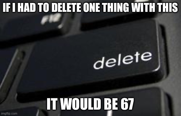 Not a upvote farm I swear | IF I HAD TO DELETE ONE THING WITH THIS; IT WOULD BE 67 | image tagged in delete it,delete | made w/ Imgflip meme maker