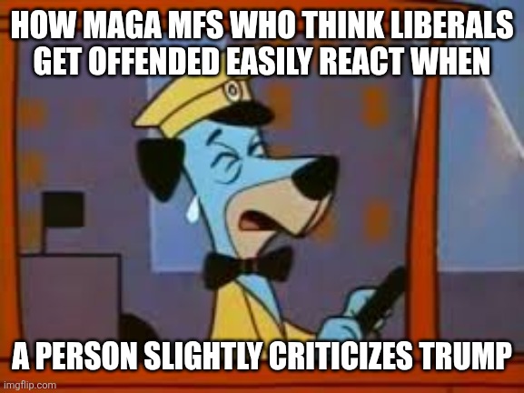 Trump | HOW MAGA MFS WHO THINK LIBERALS GET OFFENDED EASILY REACT WHEN; A PERSON SLIGHTLY CRITICIZES TRUMP | image tagged in crying huckleberry hound | made w/ Imgflip meme maker