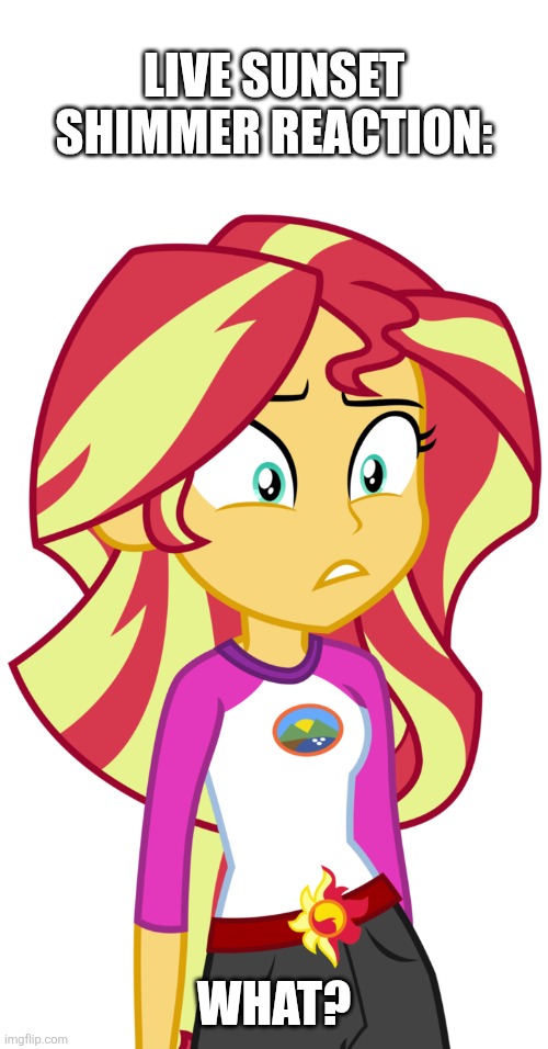 Sunset Shimmer | LIVE SUNSET SHIMMER REACTION: WHAT? | image tagged in sunset shimmer | made w/ Imgflip meme maker