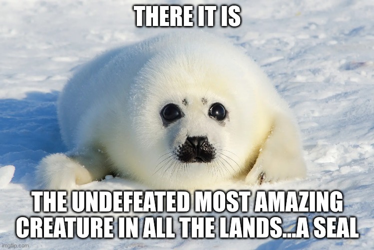 SEAL OF AMAZINGNESS | THERE IT IS; THE UNDEFEATED MOST AMAZING CREATURE IN ALL THE LANDS...A SEAL | image tagged in seal,animals,cute,cute animals | made w/ Imgflip meme maker