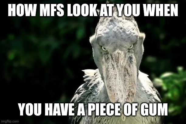 How mfs react | HOW MFS LOOK AT YOU WHEN; YOU HAVE A PIECE OF GUM | image tagged in devious shoebill | made w/ Imgflip meme maker
