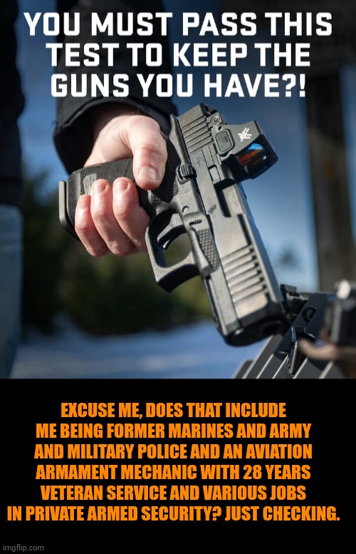 Funny | EXCUSE ME, DOES THAT INCLUDE ME BEING FORMER MARINES AND ARMY AND MILITARY POLICE AND AN AVIATION ARMAMENT MECHANIC WITH 28 YEARS VETERAN SERVICE AND VARIOUS JOBS IN PRIVATE ARMED SECURITY? JUST CHECKING. | image tagged in funny,politics,us government,2nd amendment,gun control,you've been invited to dumbass university | made w/ Imgflip meme maker
