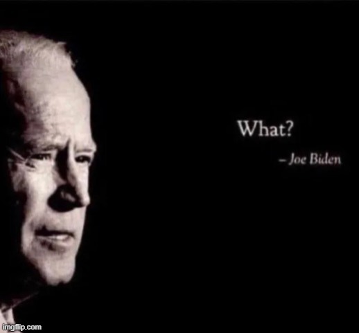 image tagged in joe biden what | made w/ Imgflip meme maker