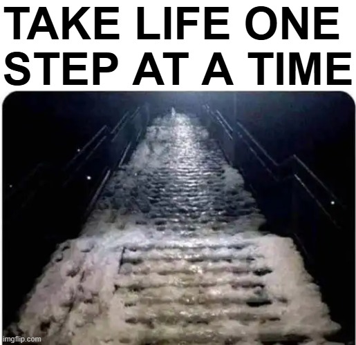 Advice of the Day | TAKE LIFE ONE 
STEP AT A TIME | image tagged in don't put the cart before the horse,patience,good things come to those who wait,life advice,build,well he's not 'wrong' | made w/ Imgflip meme maker