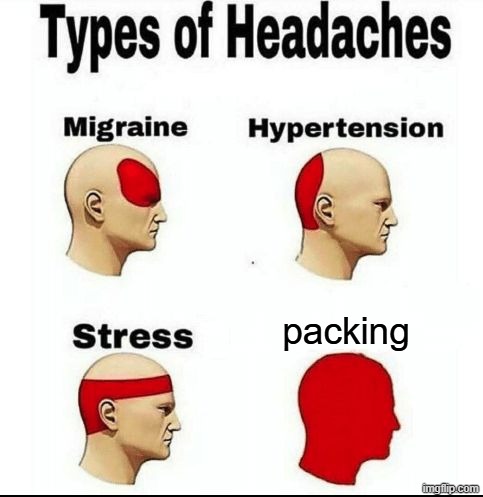 Types of Headaches meme | packing | image tagged in types of headaches meme | made w/ Imgflip meme maker