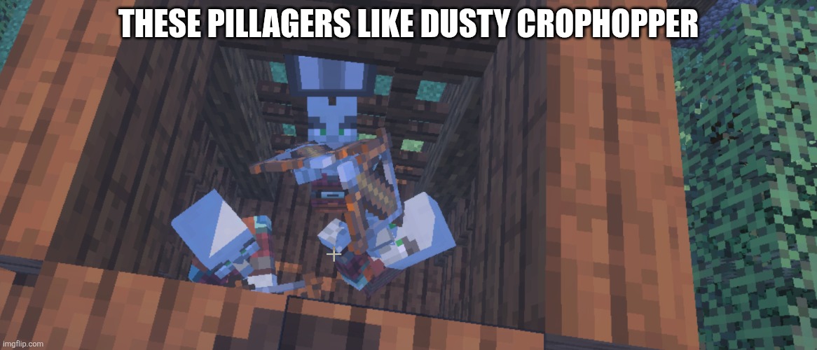Two Illager Captains At Pillager Outpost | THESE PILLAGERS LIKE DUSTY CROPHOPPER | image tagged in two illager captains at pillager outpost | made w/ Imgflip meme maker