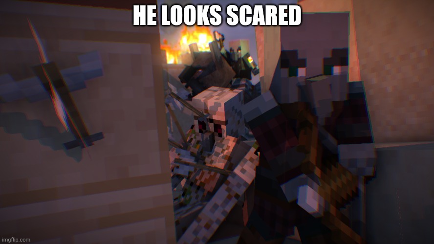 Pillager Raid | HE LOOKS SCARED | image tagged in pillager raid | made w/ Imgflip meme maker
