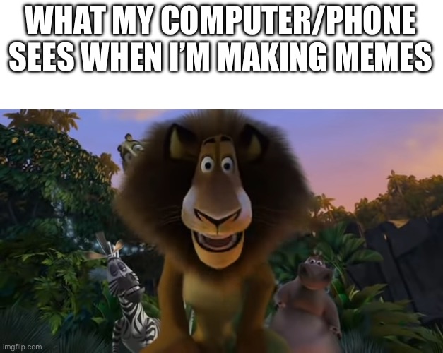 Alex the lion | WHAT MY COMPUTER/PHONE SEES WHEN I’M MAKING MEMES | image tagged in alex the lion staring | made w/ Imgflip meme maker
