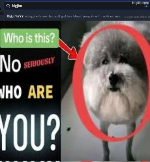 image tagged in who is this no seriously who are you | made w/ Imgflip meme maker