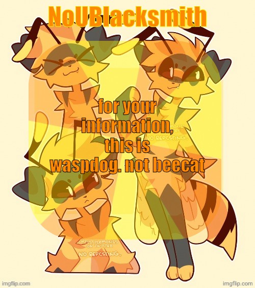 nou's beecat temp | for your information, this is waspdog. not beecat | image tagged in nou's beecat temp | made w/ Imgflip meme maker
