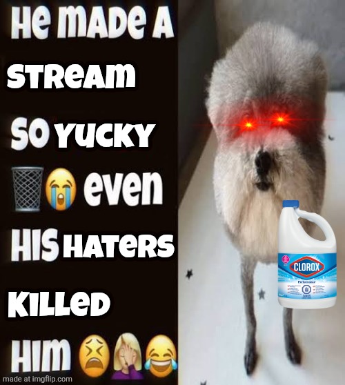 Lets raid this stream! | Stream; Yucky; Haters; Killed | image tagged in he made a statement so trash | made w/ Imgflip meme maker