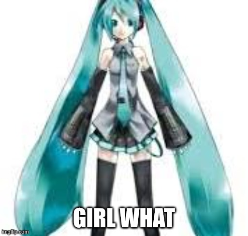 girl what | GIRL WHAT | image tagged in hatsune miku,silly,lol | made w/ Imgflip meme maker