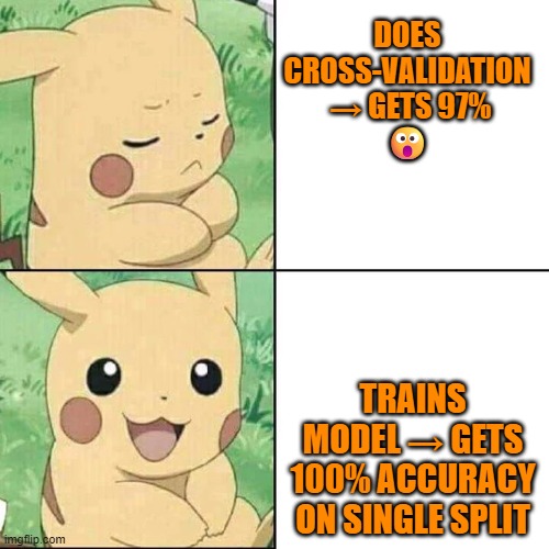 Pikachu Hotline Bling | DOES CROSS-VALIDATION
 → GETS 97%
😮; TRAINS MODEL → GETS 100% ACCURACY ON SINGLE SPLIT | image tagged in pikachu hotline bling | made w/ Imgflip meme maker