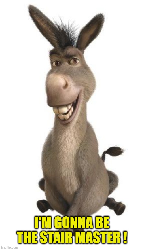 Donkey from Shrek | I'M GONNA BE THE STAIR MASTER ! | image tagged in donkey from shrek | made w/ Imgflip meme maker