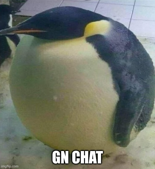 I need to stop staying up so late | GN CHAT | image tagged in i'm da biggest bird | made w/ Imgflip meme maker