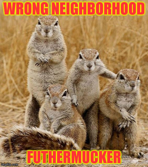 WRONG NEIGHBORHOOD FUTHERMUCKER | image tagged in wrong neighborhood | made w/ Imgflip meme maker