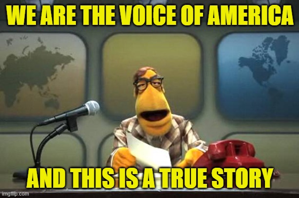 WE ARE THE VOICE OF AMERICA AND THIS IS A TRUE STORY | image tagged in muppet news flash | made w/ Imgflip meme maker