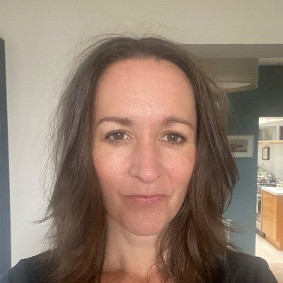 leave hogo alone Blank Meme Template