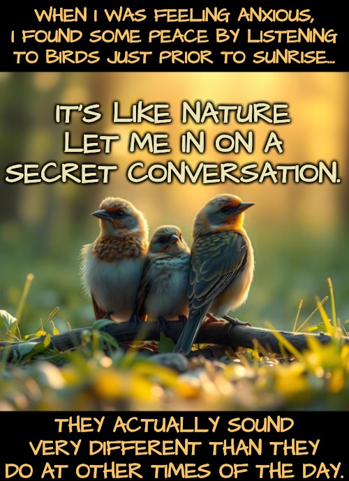 WHEN I WAS FEELING ANXIOUS, I FOUND SOME PEACE BY LISTENING TO BIRDS JUST PRIOR TO SUNRISE... THEY ACTUALLY SOUND VERY DIFFERENT THAN THEY D | made w/ Imgflip meme maker