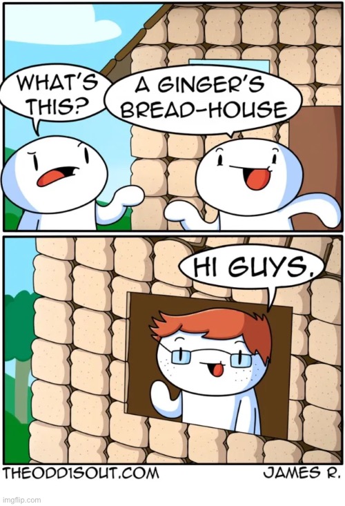 The Odd 1s Out | image tagged in comics,the odd 1s out,whats this,ginger,bread,house | made w/ Imgflip meme maker