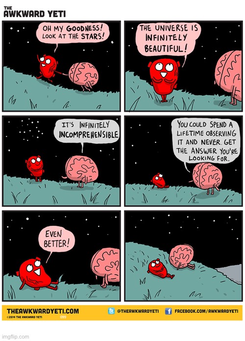 Stargazing | image tagged in comics,the awkward yeti,heart and brain,stars,universe,stargazing | made w/ Imgflip meme maker