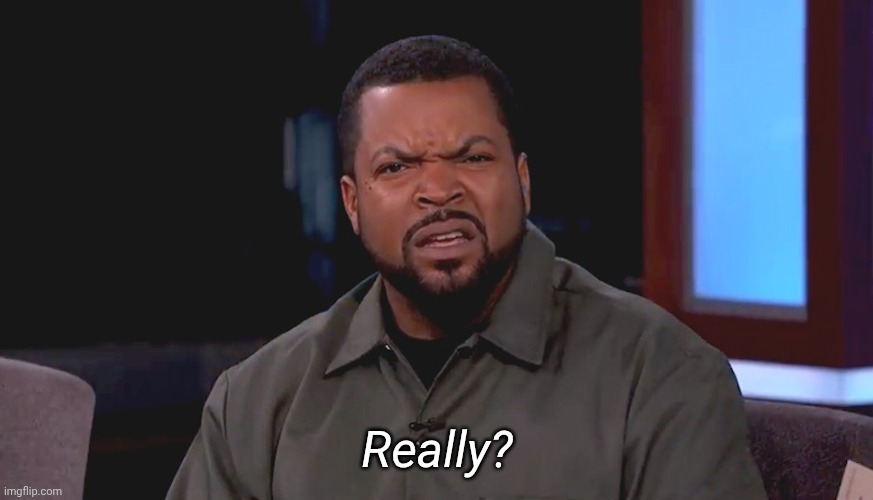 Really? Ice Cube | Really? | image tagged in really ice cube | made w/ Imgflip meme maker