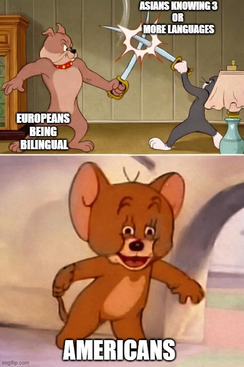fun | ASIANS KNOWING 3
OR 
MORE LANGUAGES; EUROPEANS 
BEING 
BILINGUAL; AMERICANS | image tagged in lol so funny | made w/ Imgflip meme maker