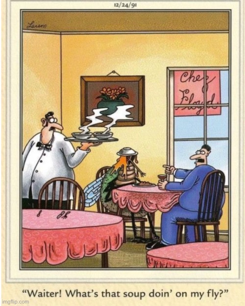 “I demand an answer!” | image tagged in the far side,comics,restaurant,waiter,soup,fly | made w/ Imgflip meme maker