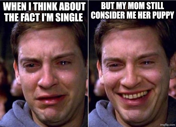 ❤️ | WHEN I THINK ABOUT THE FACT I'M SINGLE; BUT MY MOM STILL CONSIDER ME HER PUPPY | image tagged in peter parker sad cry happy cry | made w/ Imgflip meme maker