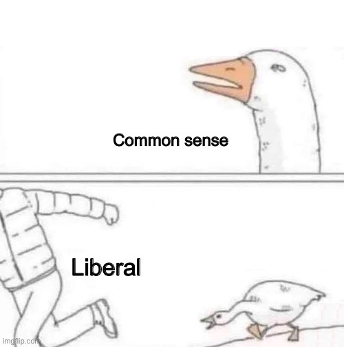 Anything but facts | Common sense; Liberal | image tagged in goose chase,liberal logic | made w/ Imgflip meme maker