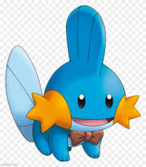 Fashion Mudkip | image tagged in fashion mudkip | made w/ Imgflip meme maker