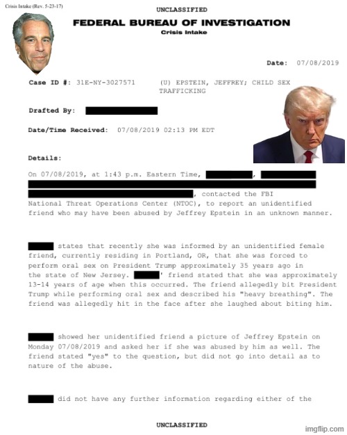 FBI FILES: Case ID #: 31E-NY-3027571 | image tagged in trump,jeffrey epstein,epstein,fbi,fbi investigation,why is the fbi here | made w/ Imgflip meme maker