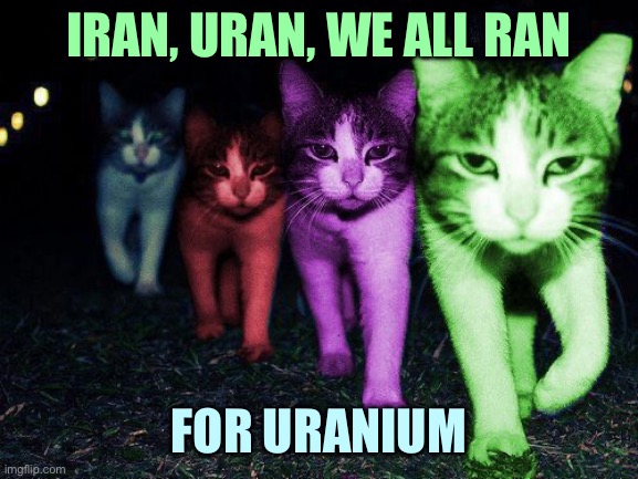 Wrong Neighborhood RayCats | IRAN, URAN, WE ALL RAN FOR URANIUM | image tagged in wrong neighborhood raycats | made w/ Imgflip meme maker