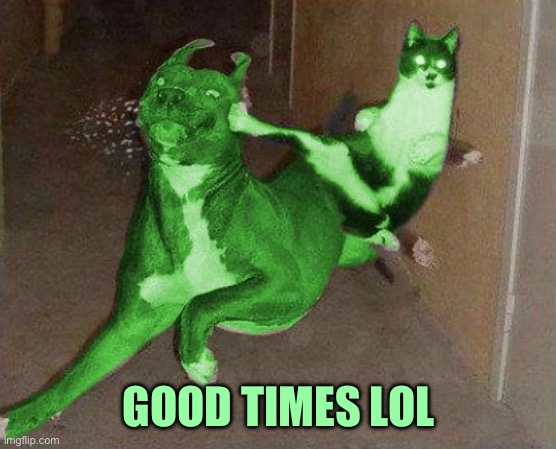 RayCat kicking RayDog | GOOD TIMES LOL | image tagged in raycat kicking raydog | made w/ Imgflip meme maker