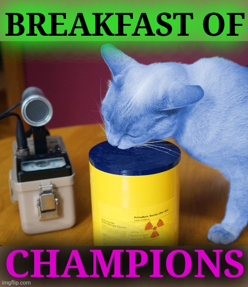 RayCat eating | BREAKFAST OF; CHAMPIONS | image tagged in raycat eating | made w/ Imgflip meme maker
