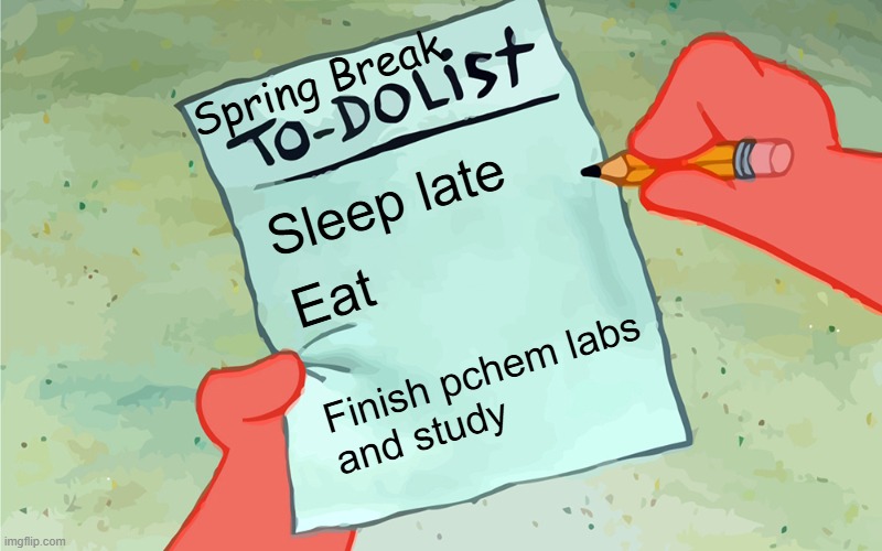 Spring Break Plans | Spring Break; Sleep late; Eat; Finish pchem labs 
and study | image tagged in patrick to do list actually blank,pchem,to do list,finish your labs | made w/ Imgflip meme maker