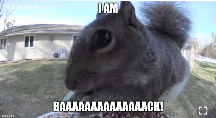 I'm baaaaaaack | I AM BAAAAAAAAAAAAAACK! | image tagged in i'm baaaaaaack | made w/ Imgflip meme maker