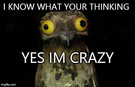 Weird Stuff I Do Potoo Meme | I KNOW WHAT YOUR THINKING  YES IM CRAZY | image tagged in memes,weird stuff i do potoo | made w/ Imgflip meme maker