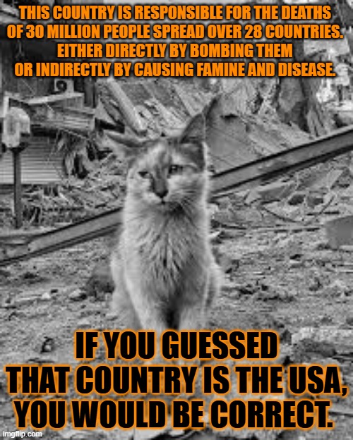 This #lolcat wonders if hoo-mens know the US killed over 30 million people | THIS COUNTRY IS RESPONSIBLE FOR THE DEATHS 
OF 30 MILLION PEOPLE SPREAD OVER 28 COUNTRIES. 
EITHER DIRECTLY BY BOMBING THEM 
OR INDIRECTLY BY CAUSING FAMINE AND DISEASE. IF YOU GUESSED THAT COUNTRY IS THE USA, YOU WOULD BE CORRECT. | image tagged in usa,murder,colonialism,war,capitalism,lolcat | made w/ Imgflip meme maker