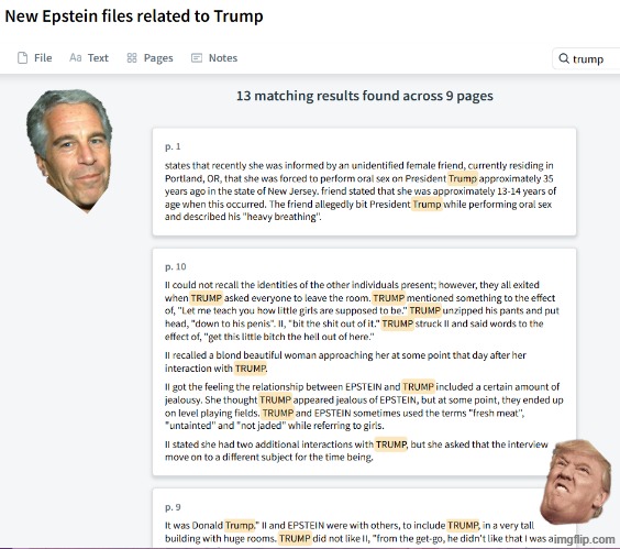 FBI Case ID #: 31E-NY-3027571 | image tagged in fbi case id 31e-ny-3027571,trump,make america great again,jeffrey epstein,fbi investigation | made w/ Imgflip meme maker