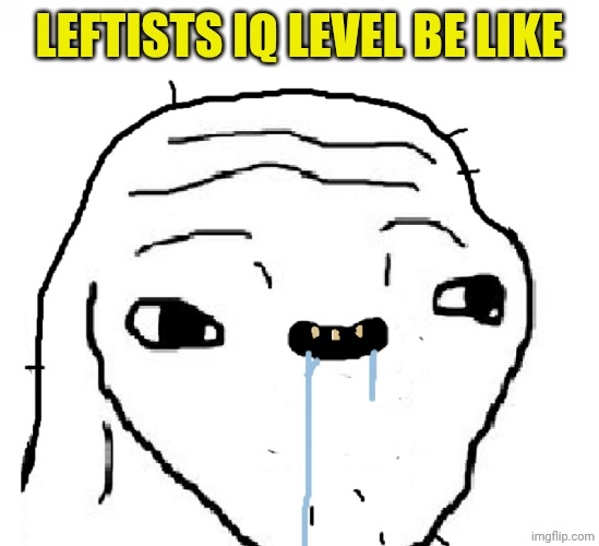 Stupid face | LEFTISTS IQ LEVEL BE LIKE | image tagged in stupid face | made w/ Imgflip meme maker