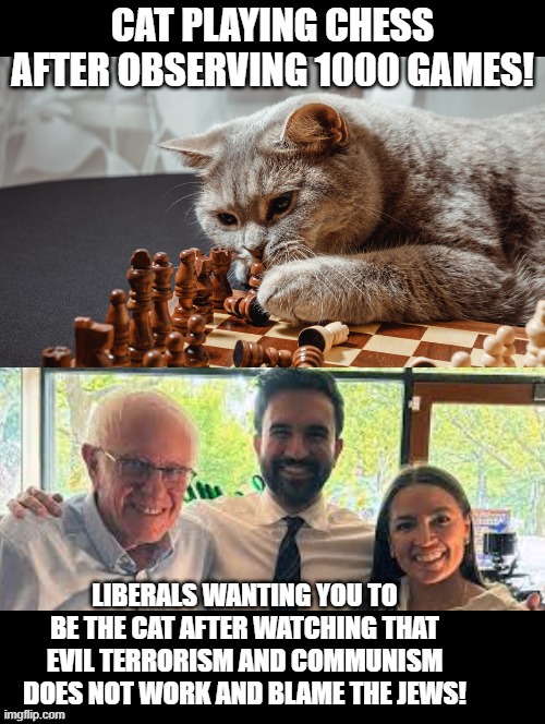 Liberals and cat playing chess! | CAT PLAYING CHESS AFTER OBSERVING 1000 GAMES! LIBERALS WANTING YOU TO BE THE CAT AFTER WATCHING THAT EVIL TERRORISM AND COMMUNISM DOES NOT WORK AND BLAME THE JEWS! | image tagged in sam elliott special kind of stupid | made w/ Imgflip meme maker